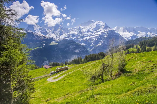 Bernina Trek