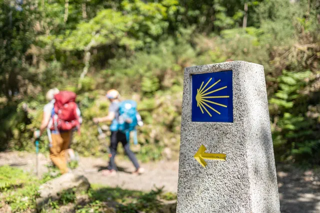 Camino de Santiago
