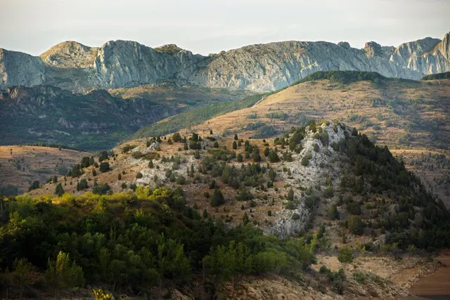 Camino Primitivo