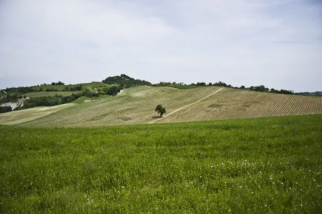 South Limburg