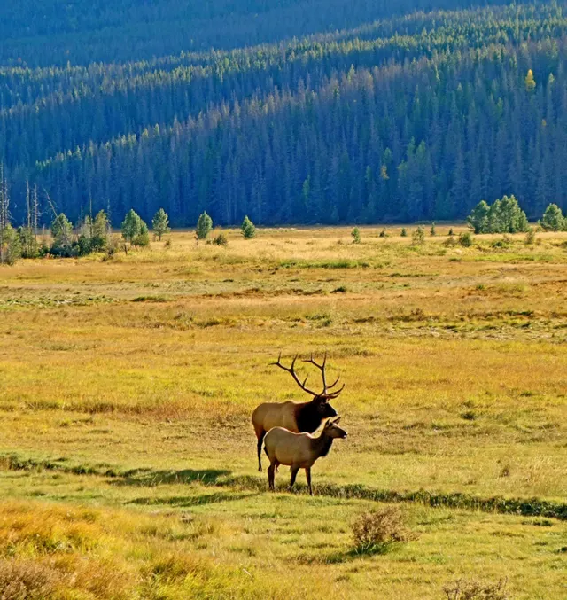 Nordkalottleden